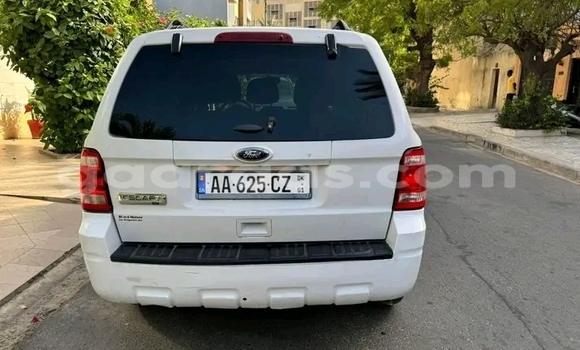 Dieundeu Occasion Ford Escape White Auto in Dakar in Dakar