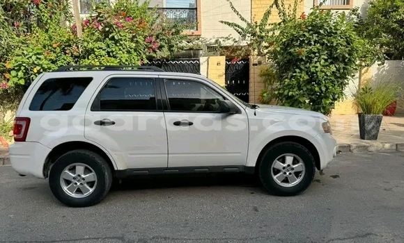 Dieundeu Occasion Ford Escape White Auto in Dakar in Dakar Dieundeu Occasion Ford Escape White Auto in Dakar in Dakar