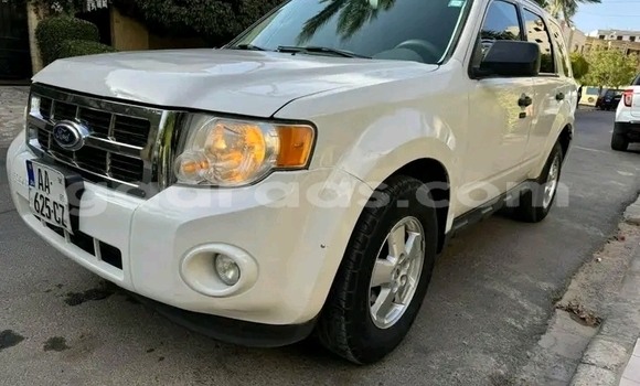 Dieundeu Occasion Ford Escape White Auto in Dakar in Dakar Dieundeu Occasion Ford Escape White Auto in Dakar in Dakar