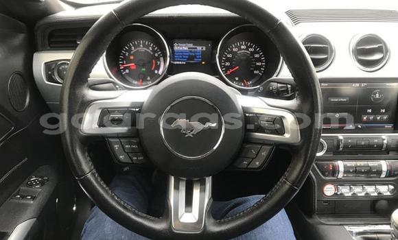 Buy Used Ford Mustang Beige Car in Dakar in Dakar Buy Used Ford Mustang Beige Car in Dakar in Dakar