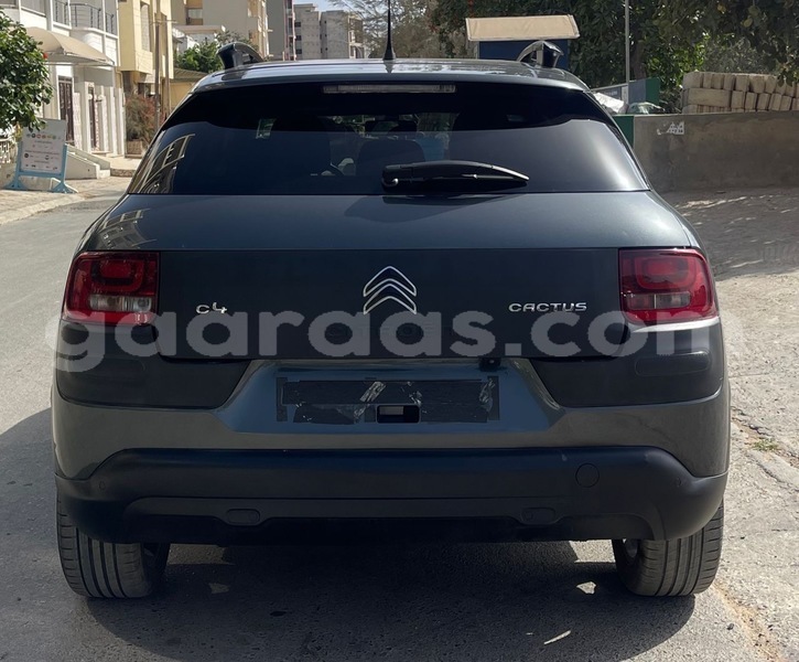 Big with watermark citroen c4 cactus dakar dakar 18793