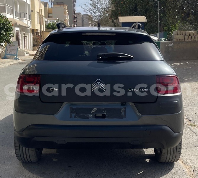 Big with watermark citroen c4 cactus dakar dakar 18793