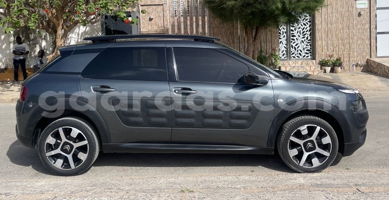 Big with watermark citroen c4 cactus dakar dakar 18793