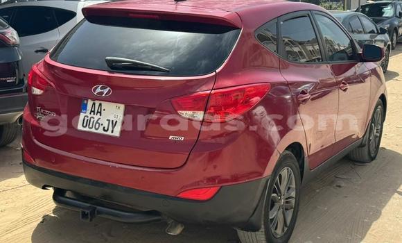 Buy Used Hyundai Tucson Red Car in Dakar in Dakar Buy Used Hyundai Tucson Red Car in Dakar in Dakar
