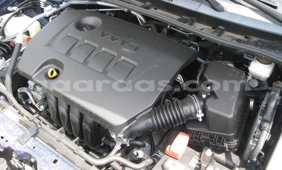 Acheter Occasion Voiture Toyota Corolla Beige à Dakar, Dakar Acheter Occasion Voiture Toyota Corolla Beige à Dakar, Dakar