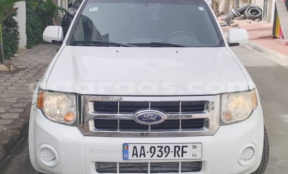Dieundeu Occasion Ford Escape White Auto in Dakar in Dakar Dieundeu Occasion Ford Escape White Auto in Dakar in Dakar