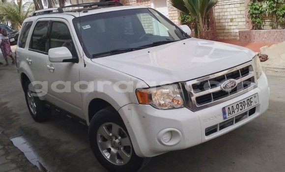 Dieundeu Occasion Ford Escape White Auto in Dakar in Dakar Dieundeu Occasion Ford Escape White Auto in Dakar in Dakar