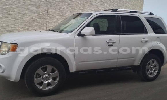 Dieundeu Occasion Ford Escape White Auto in Dakar in Dakar Dieundeu Occasion Ford Escape White Auto in Dakar in Dakar