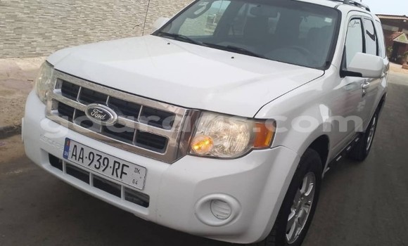 Dieundeu Occasion Ford Escape White Auto in Dakar in Dakar Dieundeu Occasion Ford Escape White Auto in Dakar in Dakar