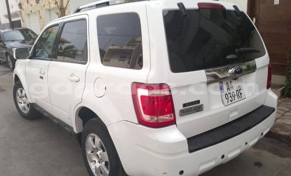 Dieundeu Occasion Ford Escape White Auto in Dakar in Dakar Dieundeu Occasion Ford Escape White Auto in Dakar in Dakar