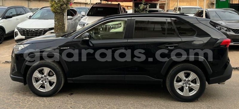 Big with watermark toyota rav4 dakar dakar 19085