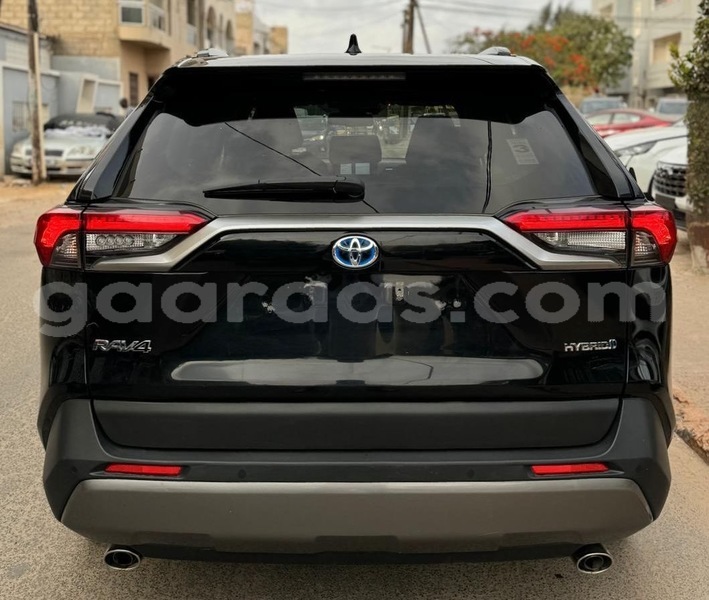 Big with watermark toyota rav4 dakar dakar 19085