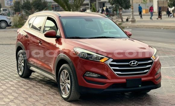 Buy Import Hyundai Tucson Brown Car in Dakar in Dakar