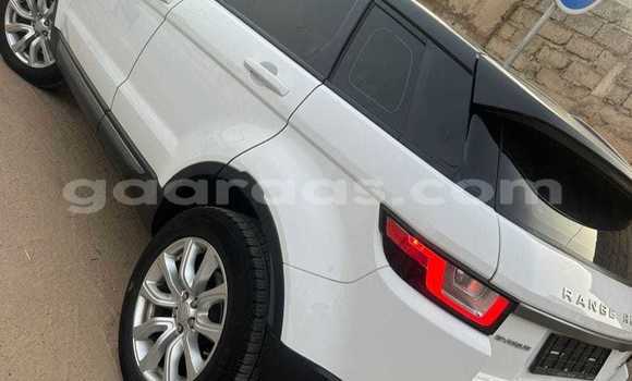 Dieundeu Occasion Range Rover Evoque White Auto in Dakar in Dakar Dieundeu Occasion Range Rover Evoque White Auto in Dakar in Dakar