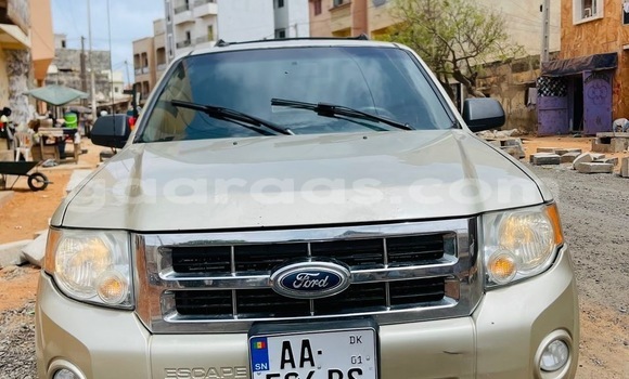 Dieundeu Occasion Ford Escape Beige Auto in Dakar in Dakar Dieundeu Occasion Ford Escape Beige Auto in Dakar in Dakar