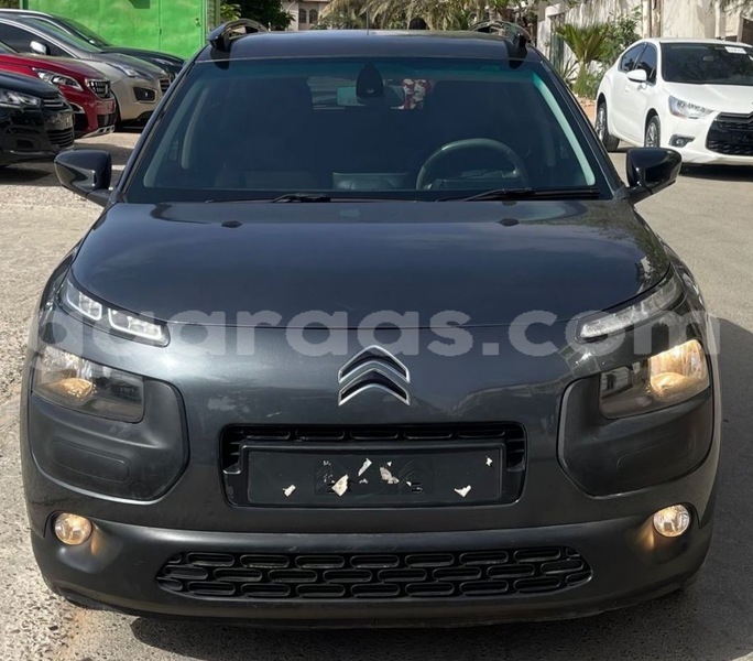 Big with watermark citroen c4 cactus dakar dakar 19822