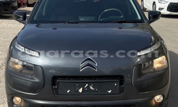 Acheter Occasion Voiture Citroen C4 Cactus Gris à Dakar, Dakar