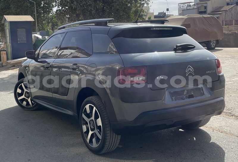 Big with watermark citroen c4 cactus dakar dakar 19822