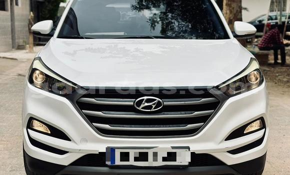 Buy Used Hyundai Tucson White Car in Dakar in Dakar