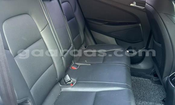 Dieundeu Occasion Hyundai Tucson White Auto in Dakar in Dakar Dieundeu Occasion Hyundai Tucson White Auto in Dakar in Dakar