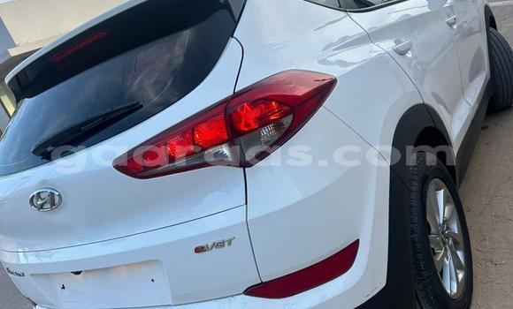 Dieundeu Occasion Hyundai Tucson White Auto in Dakar in Dakar Dieundeu Occasion Hyundai Tucson White Auto in Dakar in Dakar