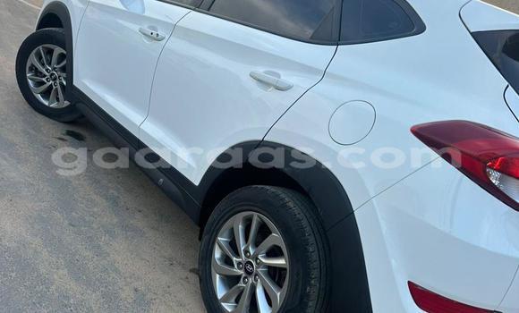 Dieundeu Occasion Hyundai Tucson White Auto in Dakar in Dakar Dieundeu Occasion Hyundai Tucson White Auto in Dakar in Dakar