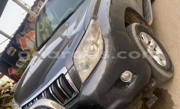 Buy Used Toyota RAV4 Silver Car in Dakar in Dakar Buy Used Toyota RAV4 Silver Car in Dakar in Dakar