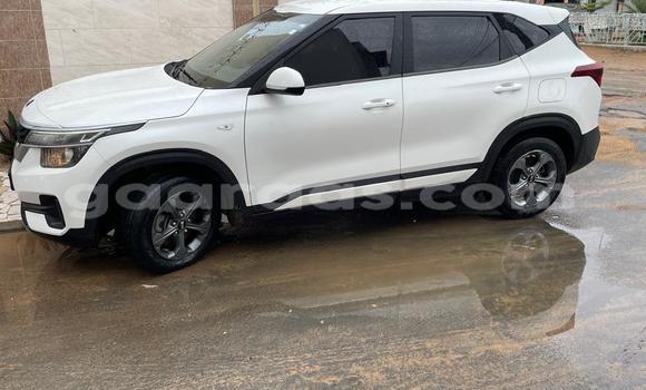 Buy Used Kia Sedona White Car in Dakar in Dakar Buy Used Kia Sedona White Car in Dakar in Dakar