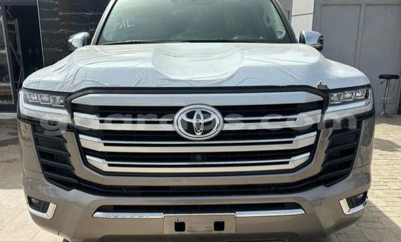 Acheter Occasion Voiture Toyota Land Cruiser Gris à Dakar, Dakar