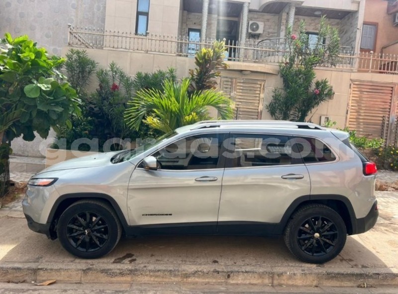 Big with watermark jeep cherokee dakar dakar 20329