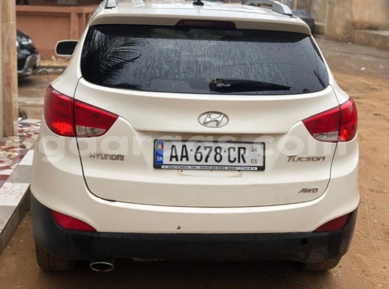 Big with watermark hyundai tucson dakar dakar 20472