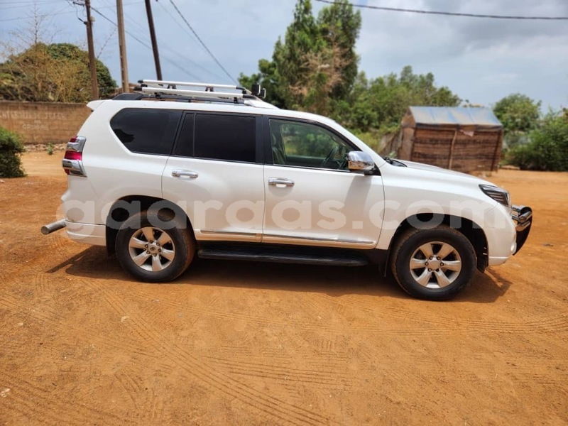 Big with watermark toyota prado dakar dakar 20522