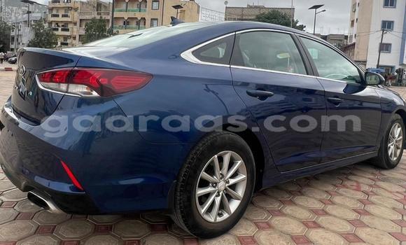 Dieundeu Occasion Hyundai Sonata Blue Auto in Dakar in Dakar Dieundeu Occasion Hyundai Sonata Blue Auto in Dakar in Dakar