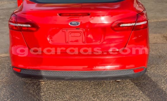 Buy Import Ford Focus Red Car in Kebemer in Louga