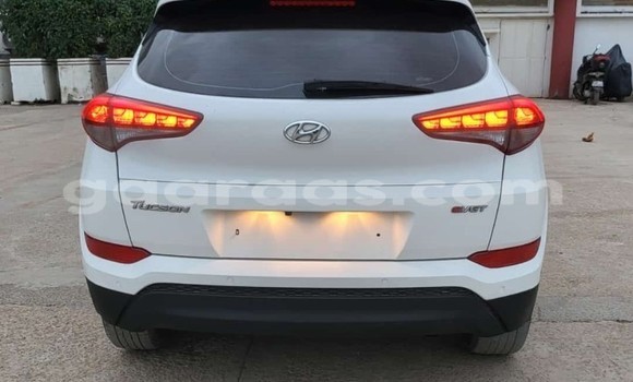 Acheter Occasion Voiture Hyundai Tucson Blanc à Dakar, Dakar Acheter Occasion Voiture Hyundai Tucson Blanc à Dakar, Dakar