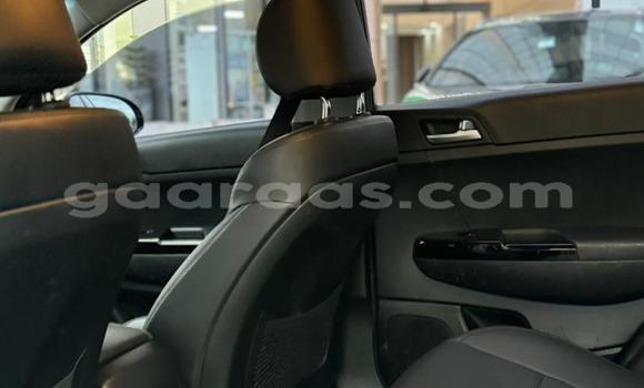 Acheter Import Voiture Kia Sportage Gris à Dakar, Dakar Acheter Import Voiture Kia Sportage Gris à Dakar, Dakar
