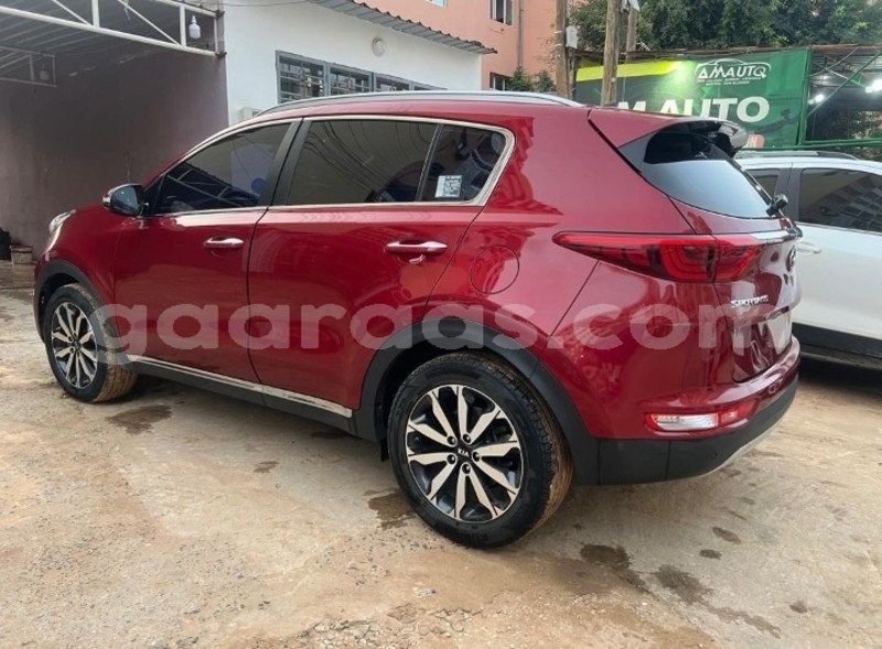 Big with watermark kia sportage dakar dakar 20911