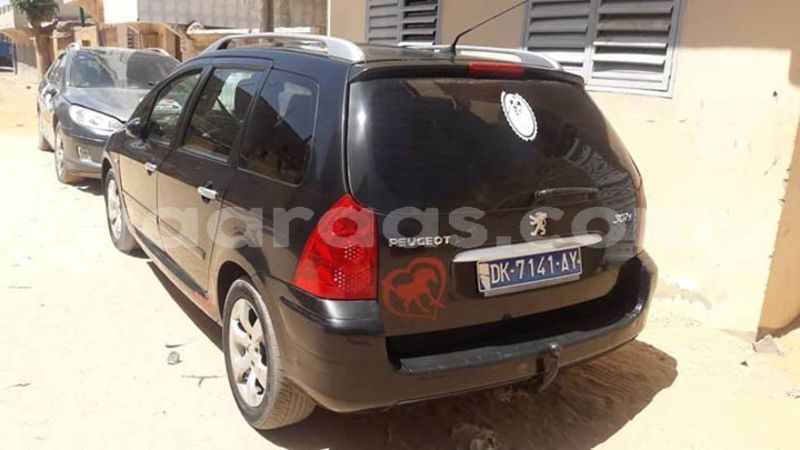 Big with watermark 57012549 434835383997039 2990151704579670016 n