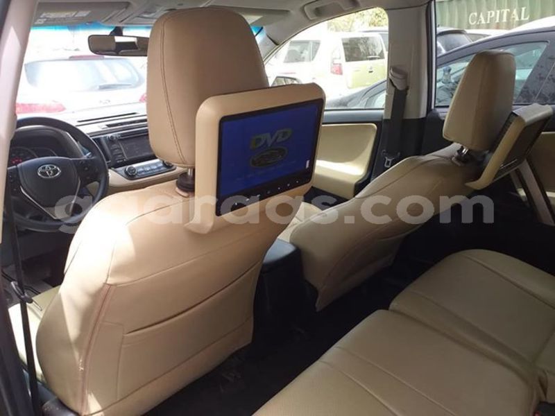 Big with watermark 57059782 434365907377320 3559143302596919296 n