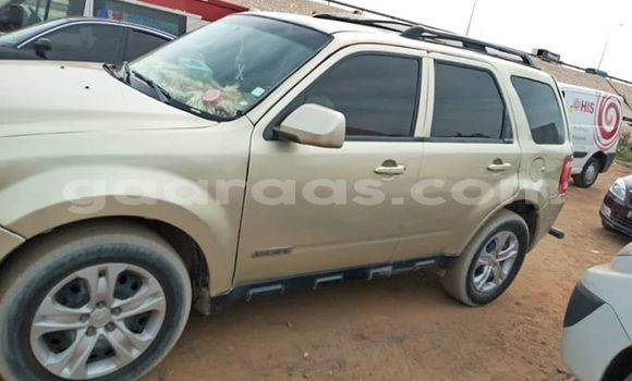 Buy Used Ford Escape Beige Car in Dakar in Dakar Buy Used Ford Escape Beige Car in Dakar in Dakar