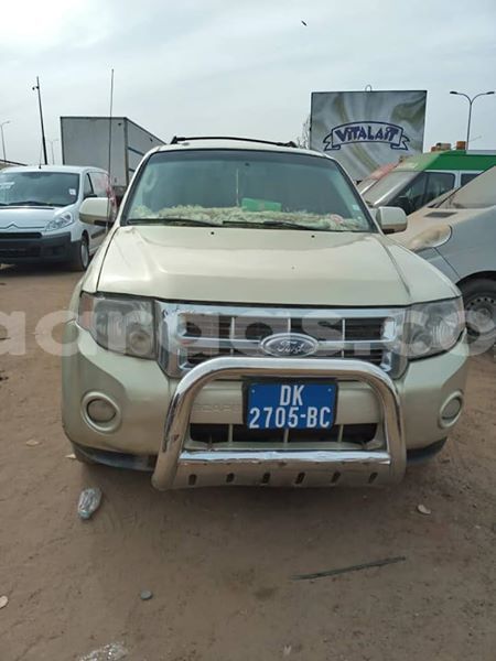 Big with watermark 55589243 426723974808180 6161002819424878592 n