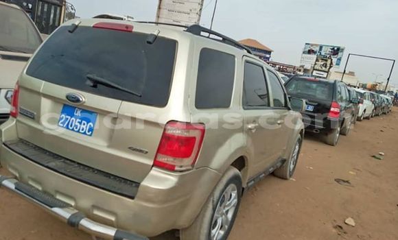 Buy Used Ford Escape Beige Car in Dakar in Dakar Buy Used Ford Escape Beige Car in Dakar in Dakar