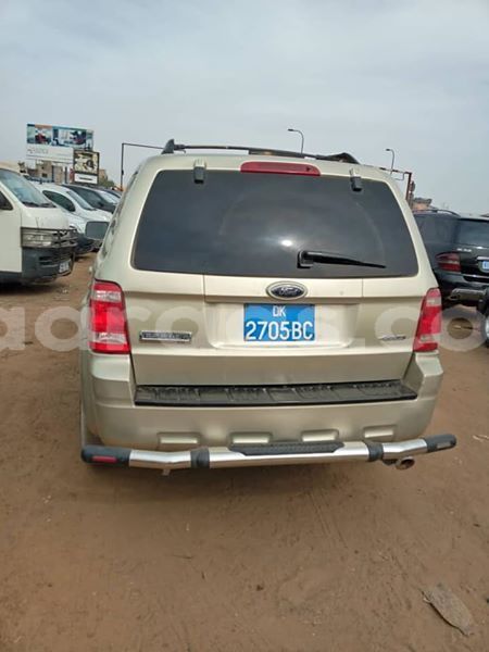 Big with watermark 56398283 426723948141516 6558720239893217280 n