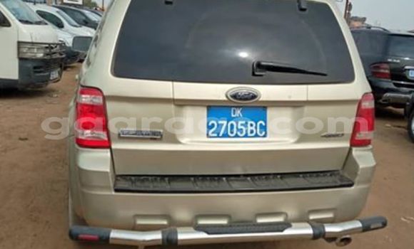 Buy Used Ford Escape Beige Car in Dakar in Dakar Buy Used Ford Escape Beige Car in Dakar in Dakar