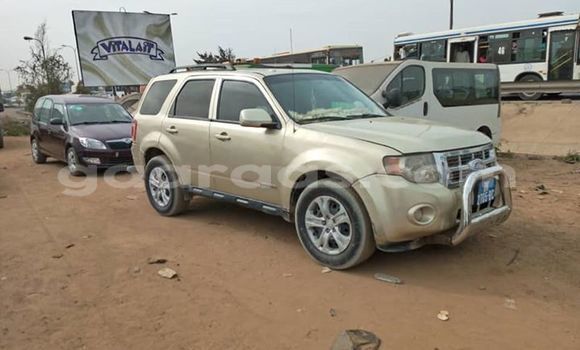 Buy Used Ford Escape Beige Car in Dakar in Dakar Buy Used Ford Escape Beige Car in Dakar in Dakar