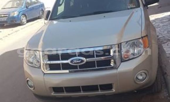 Acheter Occasion Voiture Ford Escape Beige à Dakar, Dakar Acheter Occasion Voiture Ford Escape Beige à Dakar, Dakar