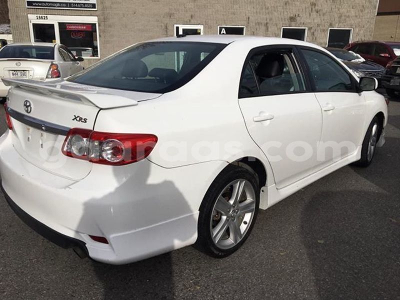 Big with watermark 49896422 238599903732122 964736297056862208 n