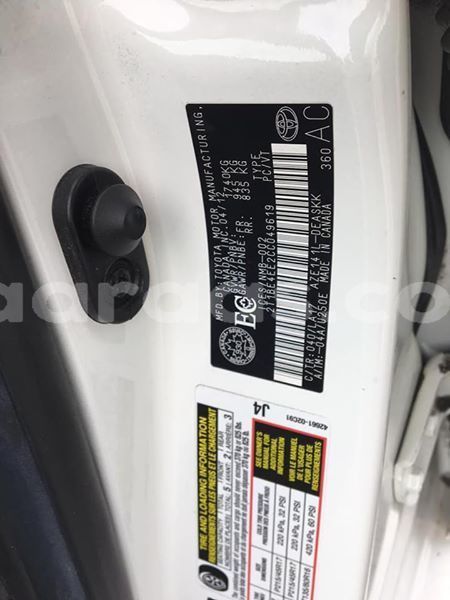 Big with watermark 50096365 238600030398776 7639432959023382528 n