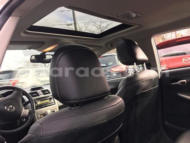 Big with watermark 50108018 238600003732112 8835428497368285184 n