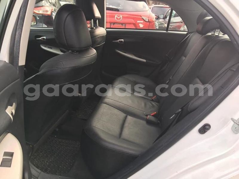 Big with watermark 49840119 238599920398787 687620402914000896 n